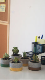 Maceta circular pack X2